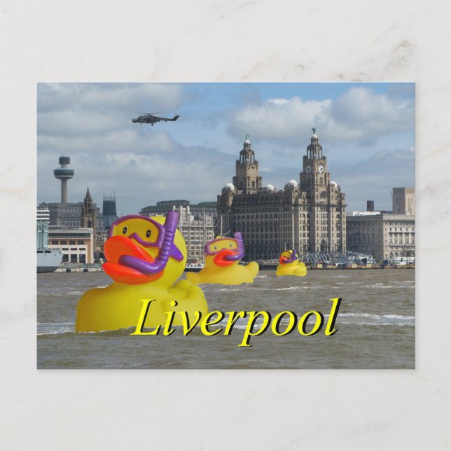 Rubber Ducks On The Mersey Postcard (Front)