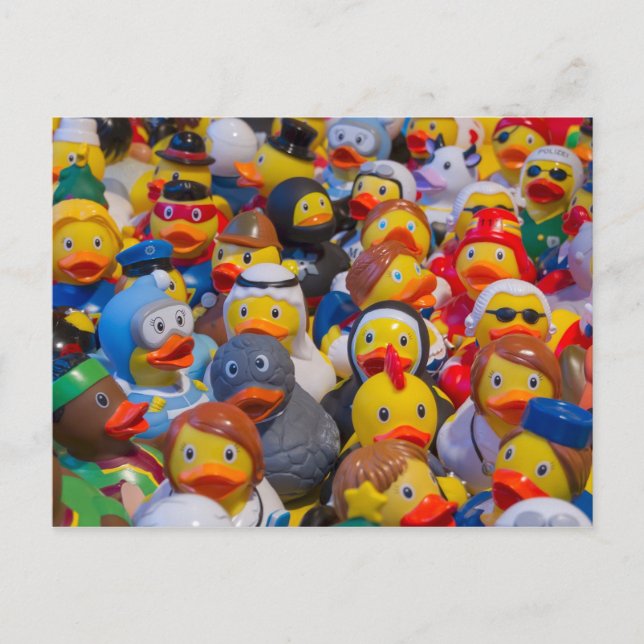 Rubber Ducky Parade Postcard (Front)