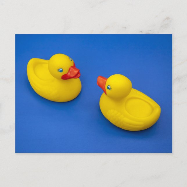 Rubber Ducky Postcard (Front)