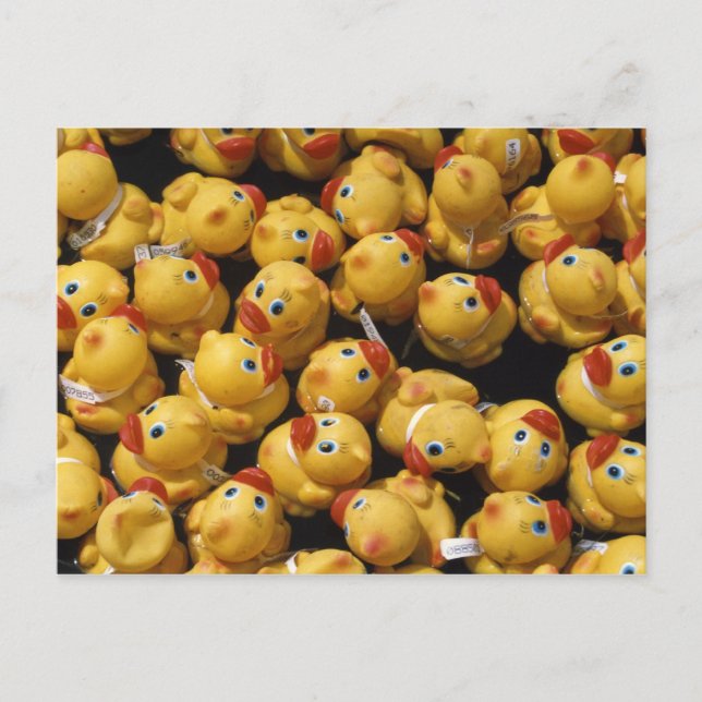Rubber ducky race - Carte postale (Devant)