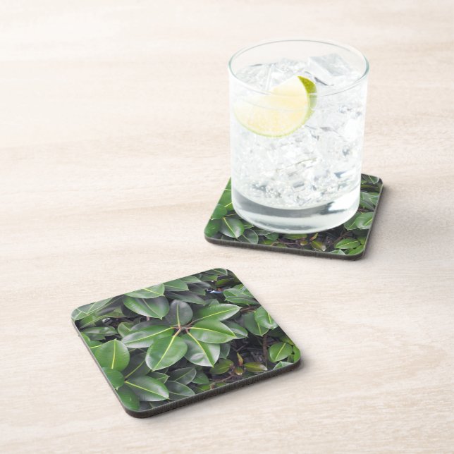 Rubber Tree Closeup Coaster (Right Side)