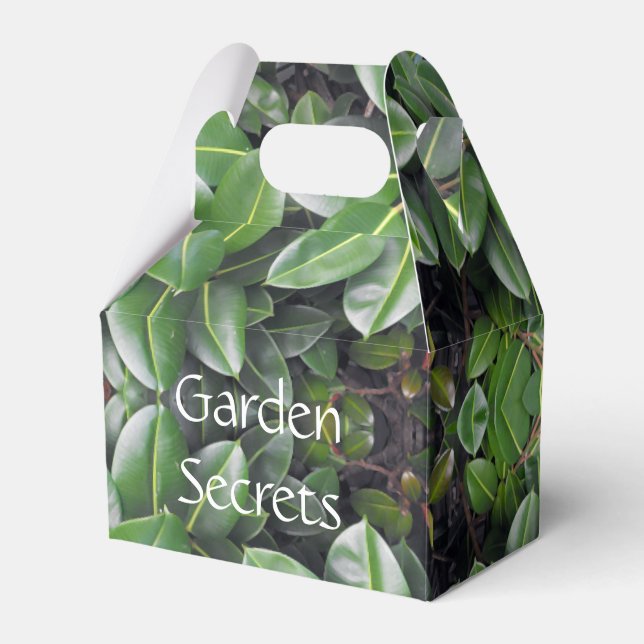 Rubber Tree Leaf Pattern Favor Box (Front Side)