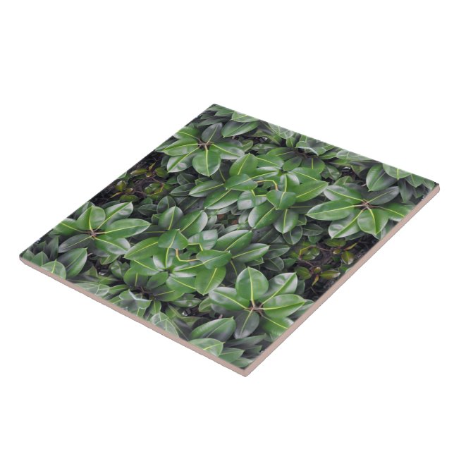Rubber Tree Leaf Pattern Tile (Side)