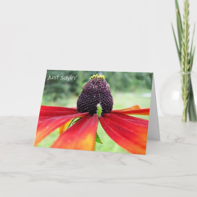 Rubeckia, Just sayin' Card (Front)