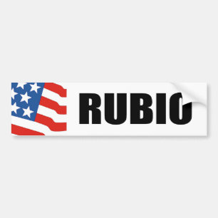 RUBIO 2010 BUMPER STICKER