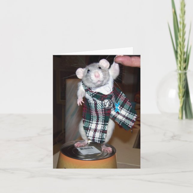 Rubis dans sa carte de kilt (Devant)