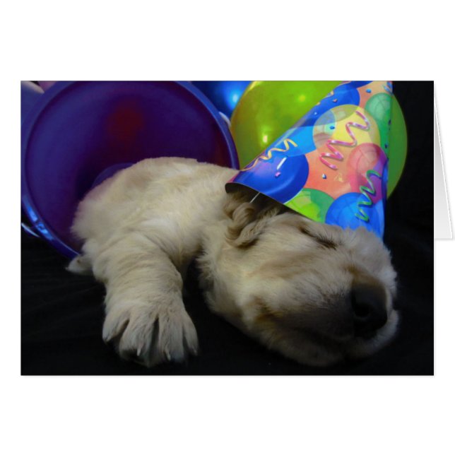 Rubis de seau (Devant horizontal)