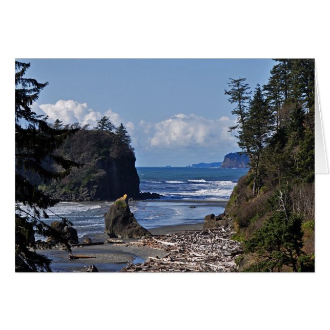 Ruby Beach on the Olympic Peninsula, Washington St (Front Horizontal)