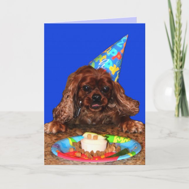 Ruby Cavalier Birthday Card (Front)