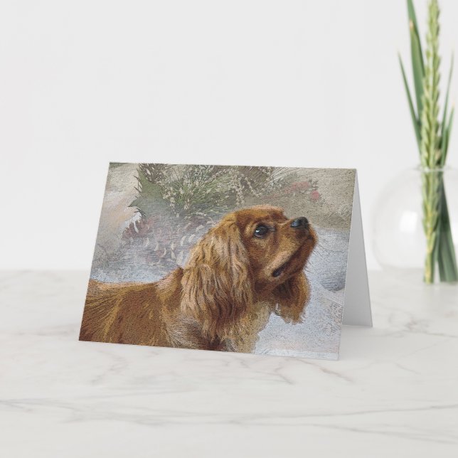 Ruby Cavalier Christmas Card (Front)