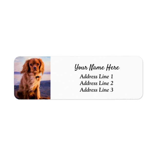 Ruby Cavalier King Charles Adresse de retour (Devant)