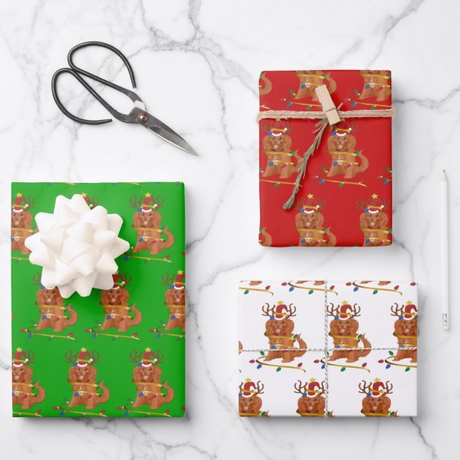 Ruby Cavalier King Charles Christmas Holiday  Wrapping Paper Sheet (Front)