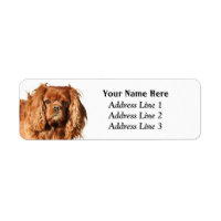 Ruby Cavalier King Charles Return Address Label