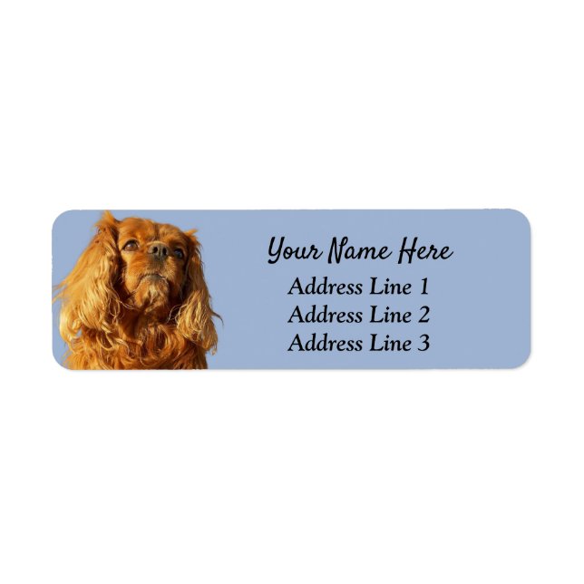 Ruby Cavalier King Charles Return Address Label (Front)