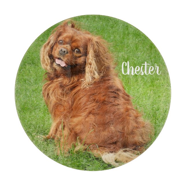 Ruby Cavalier King Charles Spaniel Dog Cutting Board (Front)