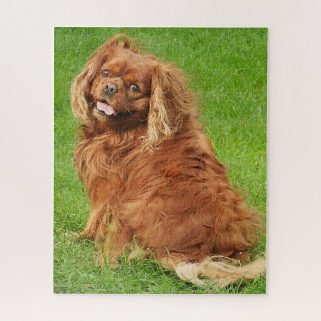 Ruby Cavalier King Charles Spaniel Dog Jigsaw Puzz Puzzle (Vertical)