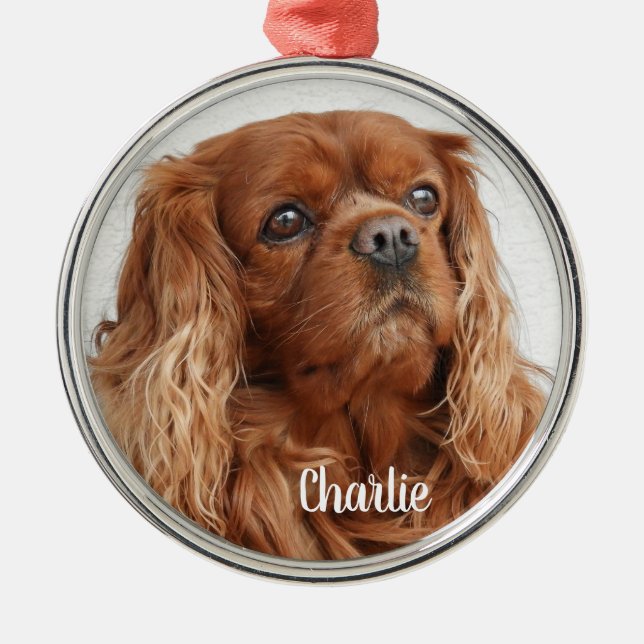 Ruby Cavalier King Charles Spaniel Dog Metal Ornam Metal Ornament (Front)