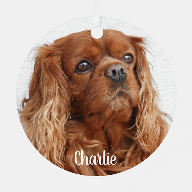 Ruby Cavalier King Charles Spaniel Dog Metal Ornament (Back)