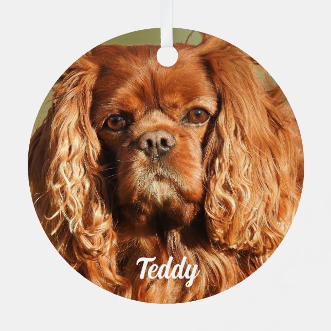 Ruby Cavalier King Charles Spaniel Dog Metal Ornament (Back)