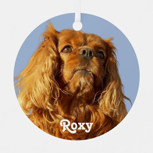 Ruby Cavalier King Charles Spaniel Puppy Dog Blue Metal Ornament (Front)