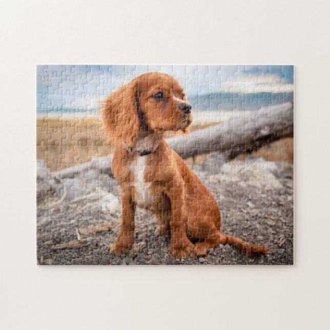 Ruby Cavalier King Charles Spaniel Puppy Dog Jigsaw Puzzle (Horizontal)