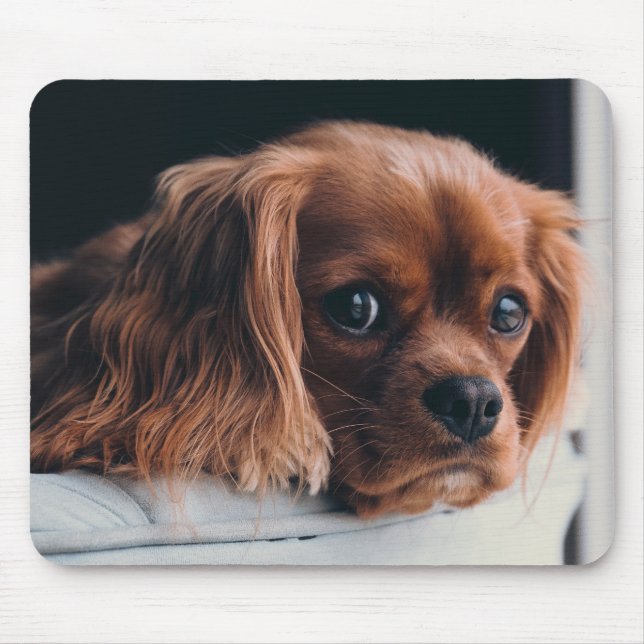 Ruby Cavalier King Charles Spaniel Puppy Dog Mouse Pad (Front)