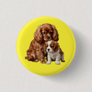 Ruby Cavalier Spaniel and her Blenheim puppy 1 Inch Round Button
