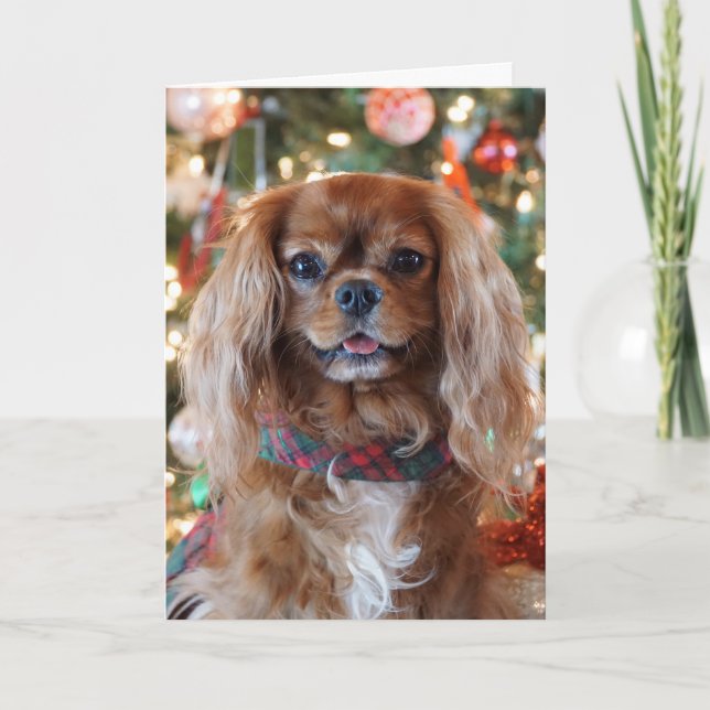 Ruby Christmas Holiday Card (Front)