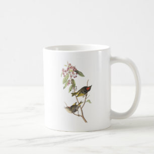 Ruby-crowned Kinglet by Audubon Coffee Mug