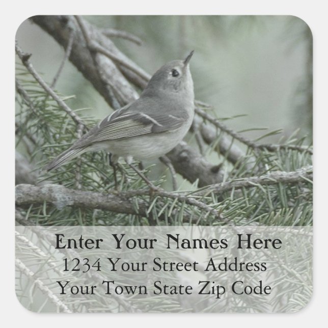 Ruby-Crowned Kinglet Return Address Label (Front)