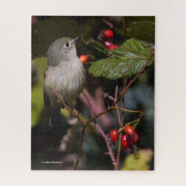 Ruby-Crowned Kinglet Songbird on Hawthorn Bush Jigsaw Puzzle (Vertical)