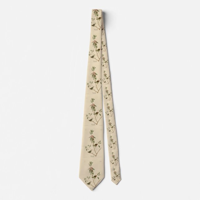 Ruby crowned Wren (Kinglet) Audubon Birds America Tie (Front)
