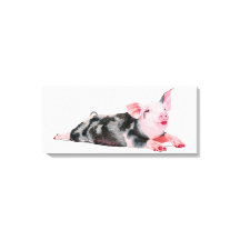 Ruby, Pig with Lipstick print on canvas