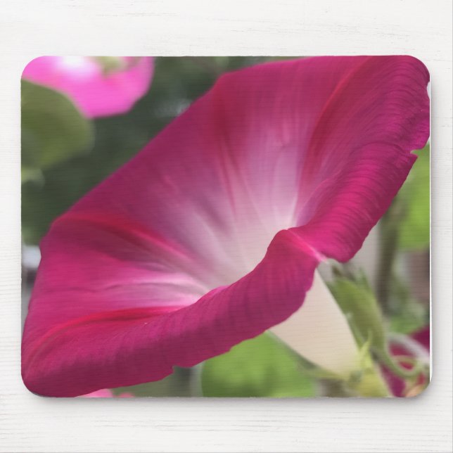Ruby Red Morning Glory Close-up  Mouse Pad (Front)