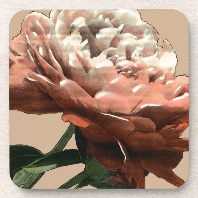 Ruby Red Rose with White Accents Coaster (Front)