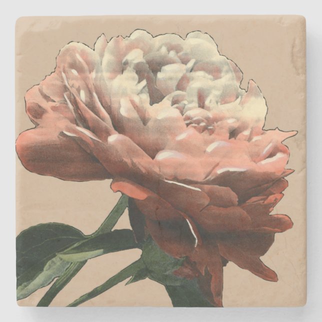 Ruby Red Rose with White Accents Stone Coaster (Front)