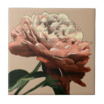 Ruby Red Rose with White Accents Tile<br><div class="desc">A Chariklia Zarris original,  this ruby red rose stretches toward a light illuminating its petals. Is it the sun shining on the rose,  or an artificial light? A great piece with which to start your art collection!</div>