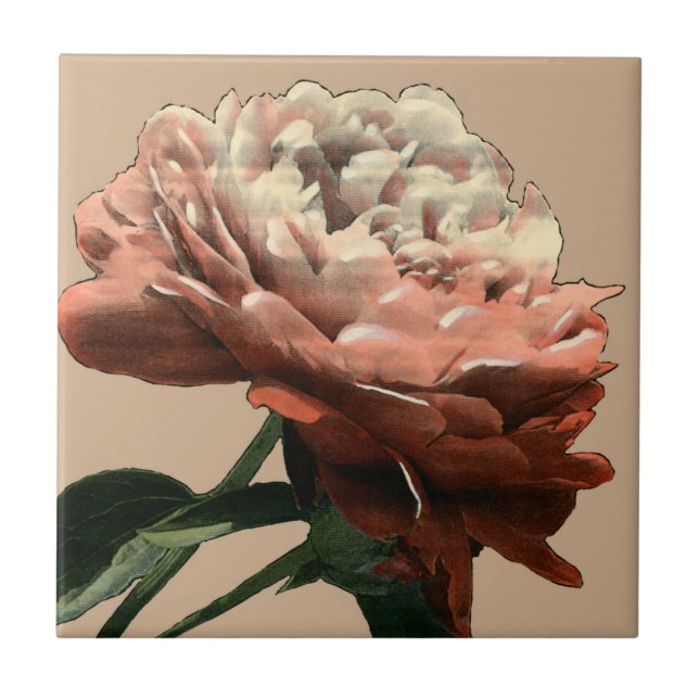 Ruby Red Rose with White Accents Tile (Front)