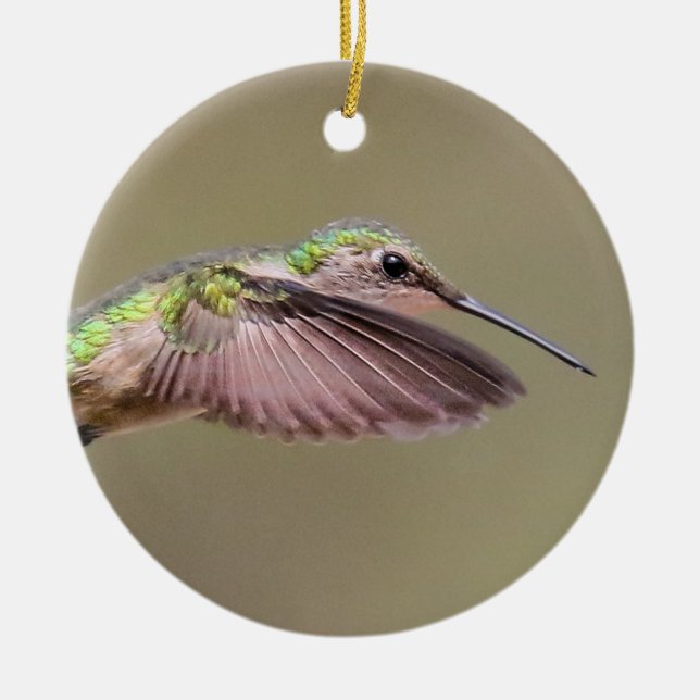 Ruby Red Throat Hummingbird Ornament (Front)