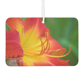Ruby Spider Day Lily Air Freshener