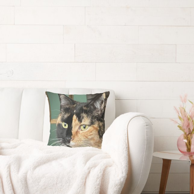 Ruby the Six year old Tortie and White Throw Pillow (Couch)