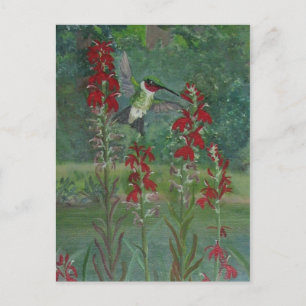 Ruby-throat and Cardinal Flower Postcard