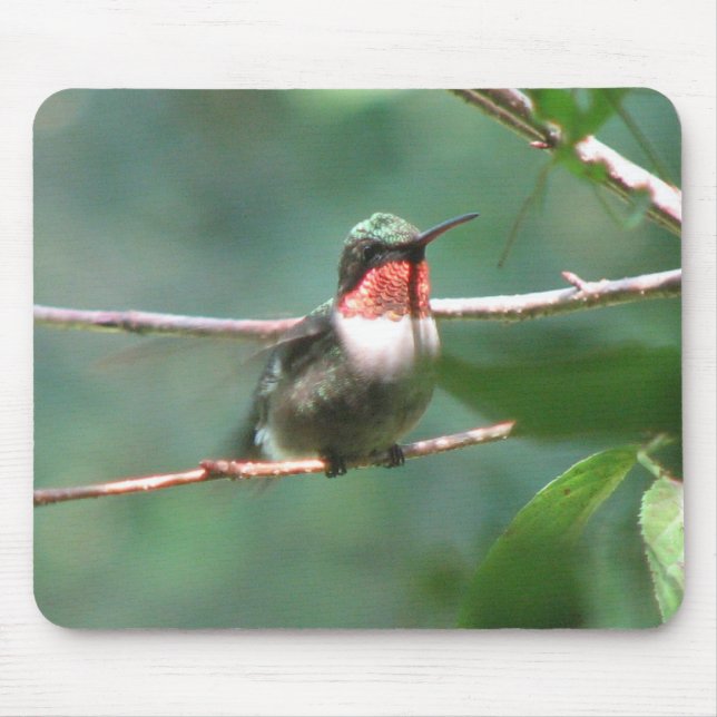 Ruby-throat Flutters Mousepad (Front)