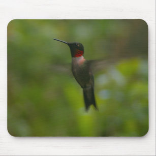 Ruby Throat Hummingbird Mouse Pad