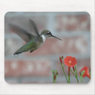 Ruby-throat & Morning Glory Mousepad