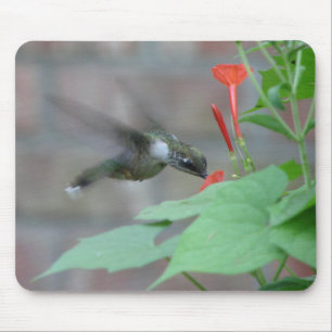 Ruby-throat Sips Mousepad