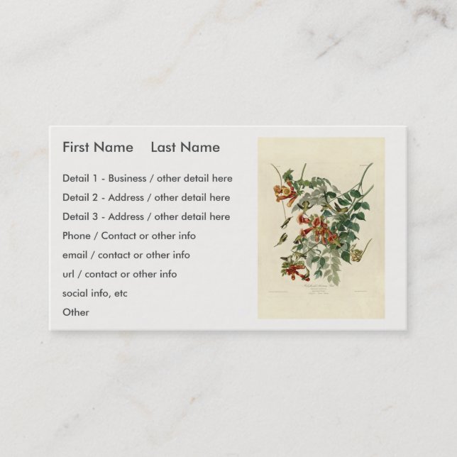 Ruby-throated Humming Bird, Audubon Birds America Business Card (Front)
