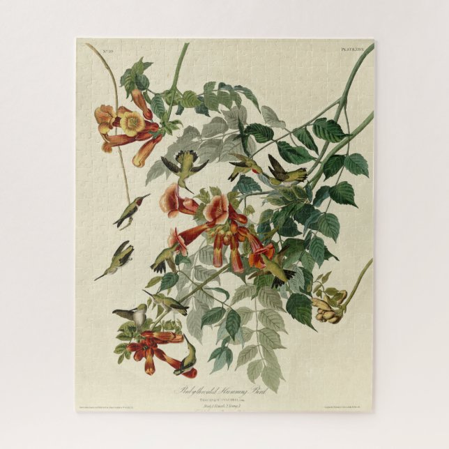 Ruby-throated Humming Bird, Audubon Birds America Jigsaw Puzzle (Vertical)