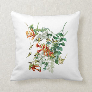 Ruby-throated Humming Bird Audubon Birds America Throw Pillow