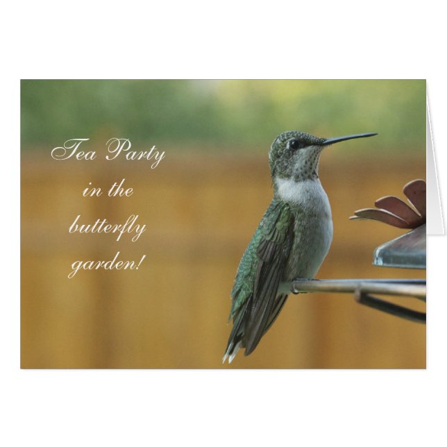 Ruby Throated Hummingbird (Front Horizontal)